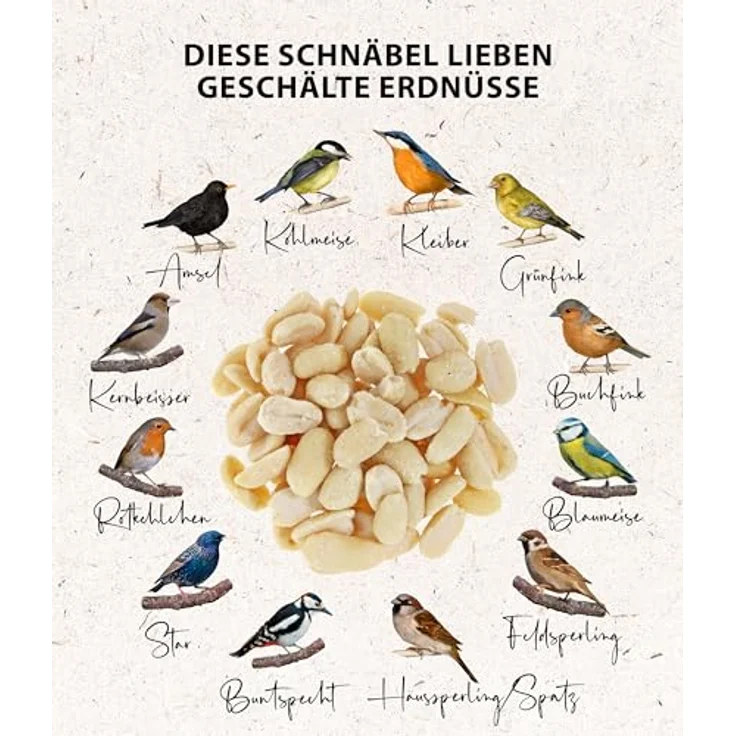 Dehner Natura Premium Wildvogelfutter, halbe/ganz Erdnüsse schalenfrei, proteinreich und energiereich, 3.4 kg – Bild 5