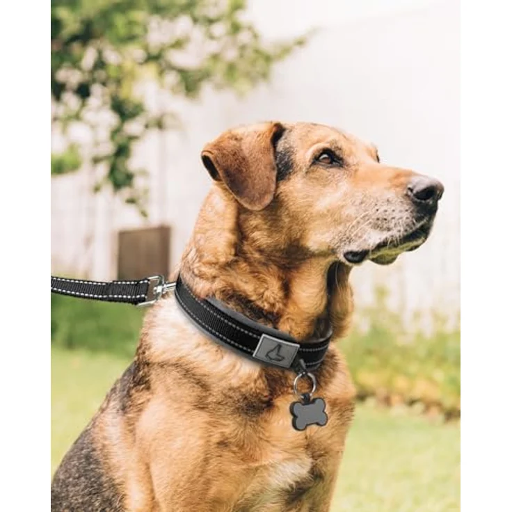 Joytale Neopren Hundehalsband, Gepolstert und Reflektierend für Extra Große Hunde, Schwarz, Dornschnalle aus Metall, Höhenverstellbar – Bild 3