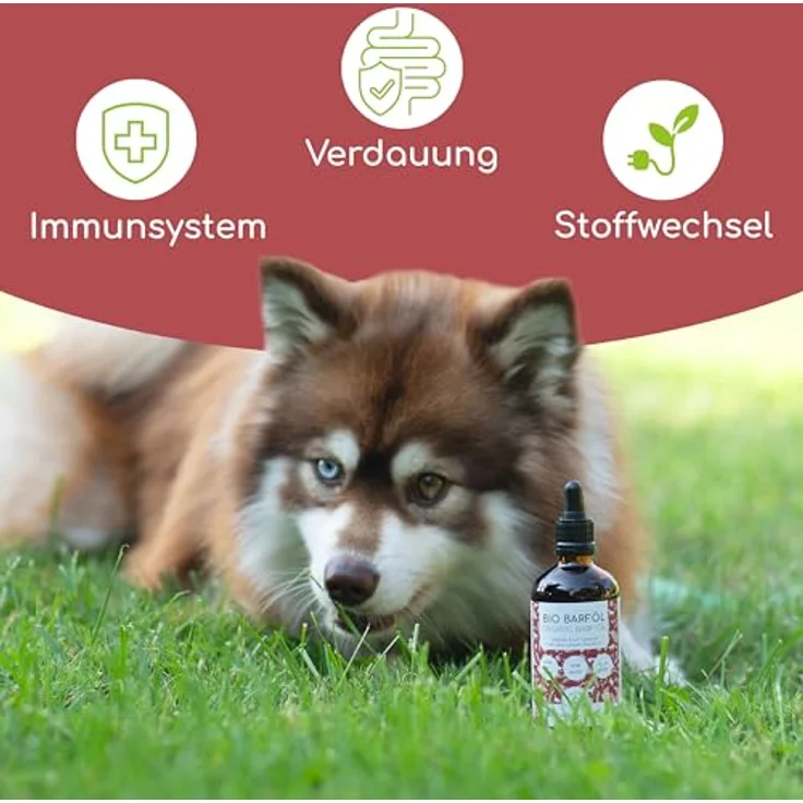 Wolfsbacher Futteröl für Hunde 100ml, 100% Bio Barföl aus Leinöl, Nachtkerzenöl, Olivenöl, Kürbiskernöl und Chiaöl, mit Omega 3-6-9, vegan und kaltgepresst, DE-ÖKO-060 – Bild 2