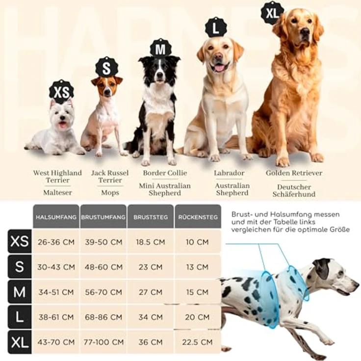 FREUDENTIER Hundegeschirr Orange, mit Mesh-Polsterung, Anti-Zug-Frontring, verstellbar für max. Komfort und Sicherheit, Größe L – Bild 2