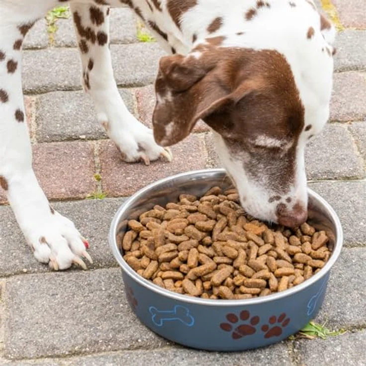 deuka 15 kg Dog Sensikost Hundefutter, getreide- und glutenfrei mit Enten und Kartoffeln – Bild 4