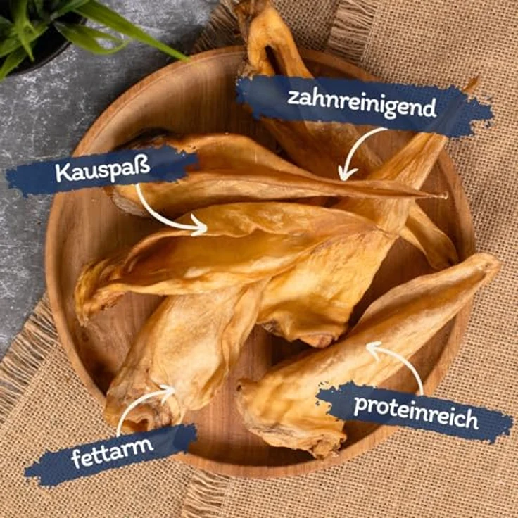 Lyra Pet® 200 Rinderohren getrocknet, 6 kg natürlicher Kausnack für Hunde, proteinreich und zahnreinigend – Bild 2