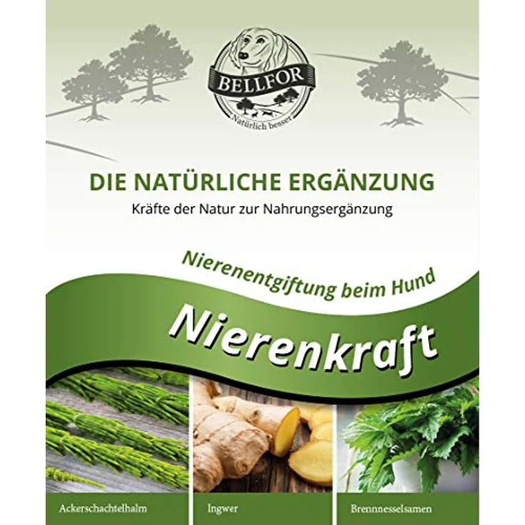 Bellfor Nierenkraft Pulver für Hunde, 80g – Natürliches Ergänzungsfuttermittel zur Unterstützung der Nierenfunktion mit Ackerschachtelhalm und pflanzlichen Inhaltsstoffen – Bild 5