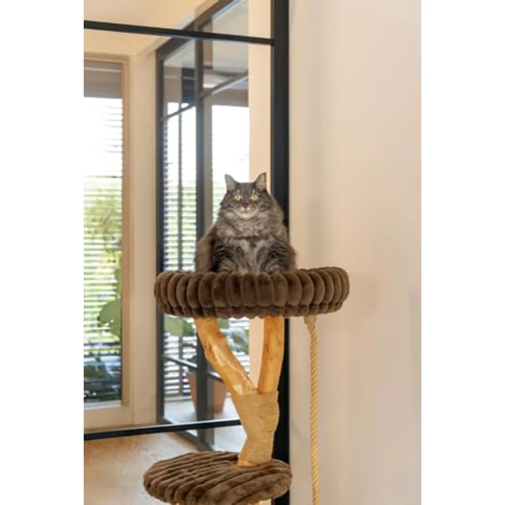Designed by Lotte Kratzbaum Reya, aus Dattel- und Birnbaumholz für Katzen bis 10 kg, braun – Bild 5