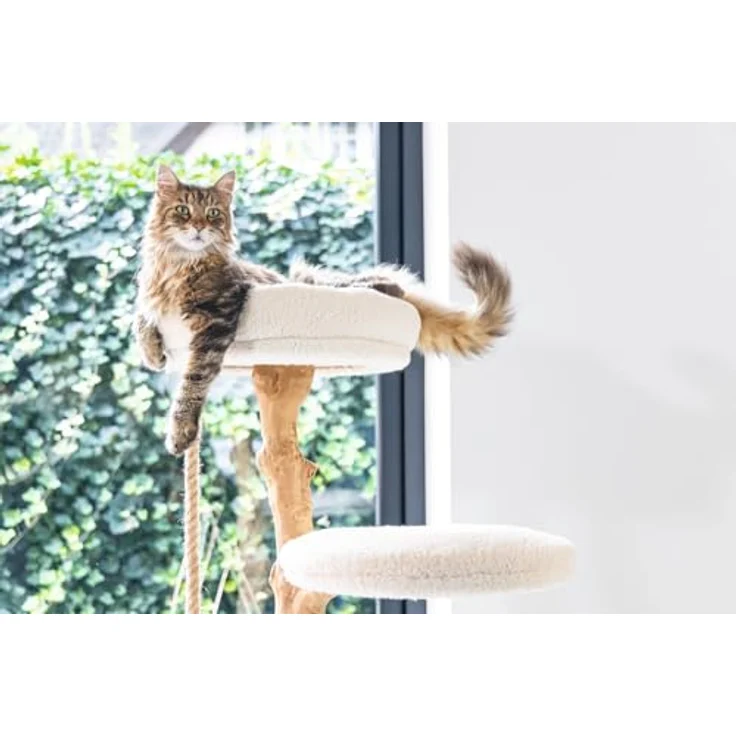 Designed by Lotte Vilja (110 cm, Creme), Katzenbaum mit Teddystoff und Kratzbereich aus Jute – Bild 8