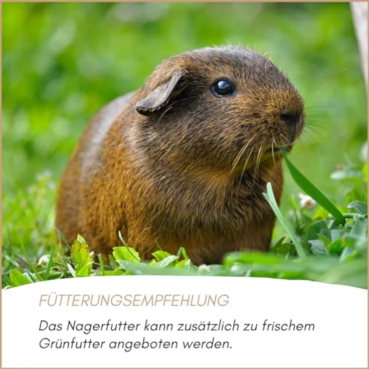 Supravit Nagerfutter, Premium Kleintierfutter 5kg für Hamster, Kaninchen, Meerschweinchen & Ratten, natürlicher Mix ohne Zucker, hohe Rohfaseranteil, reich an Vitaminen – Bild 5