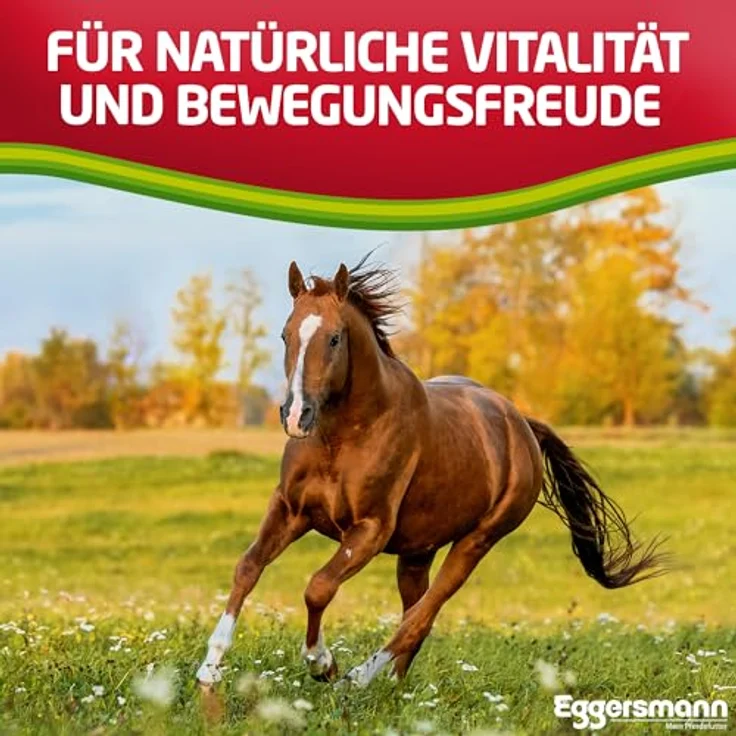 Eggersmann Mein Pferdefutter Profi Gelenk aktiv, Ergänzungsfuttermittel für Pferde & Ponys zur Unterstützung von Sehnen & Gelenken, 1 kg, hohe Qualität – Bild 4