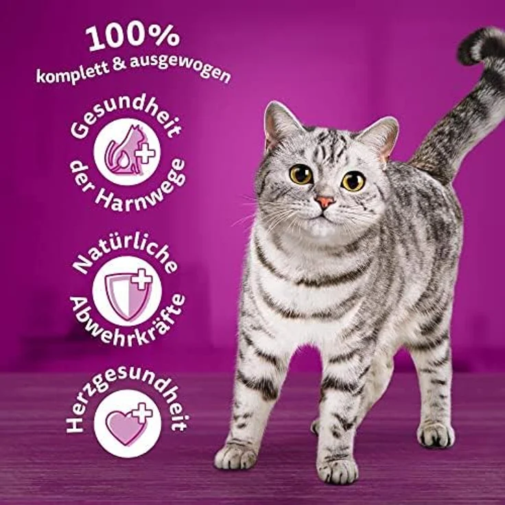 Whiskas Senior 7+, Katzenfutter mit Huhn, 1,9 kg, zur Unterstützung der Harnwege und Zahnpflege, mit Taurin und Vitamin E – Bild 6