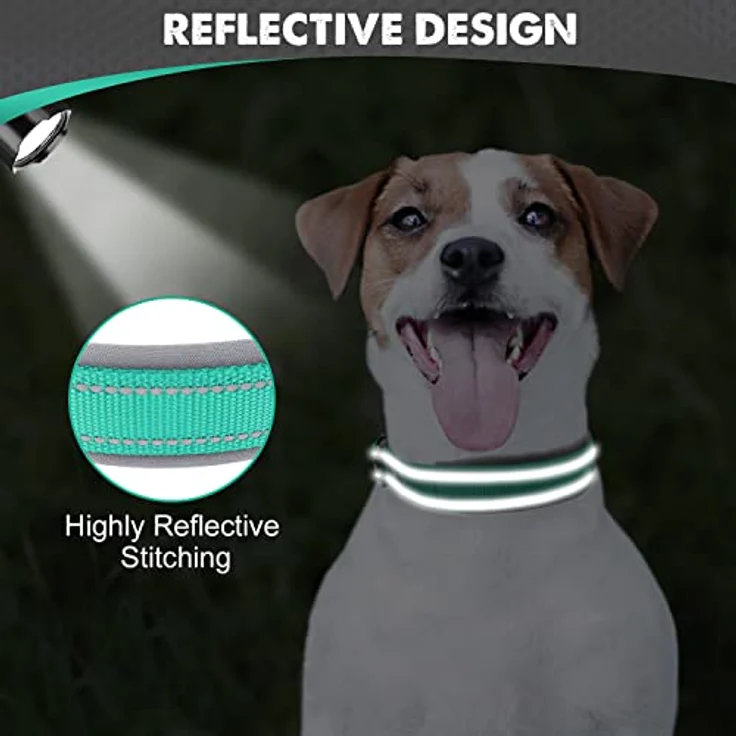 Joytale Neopren Hundehalsband, Gepolstert und Reflektierend für kleine Hunde, Breit, Türkis – Bild 4