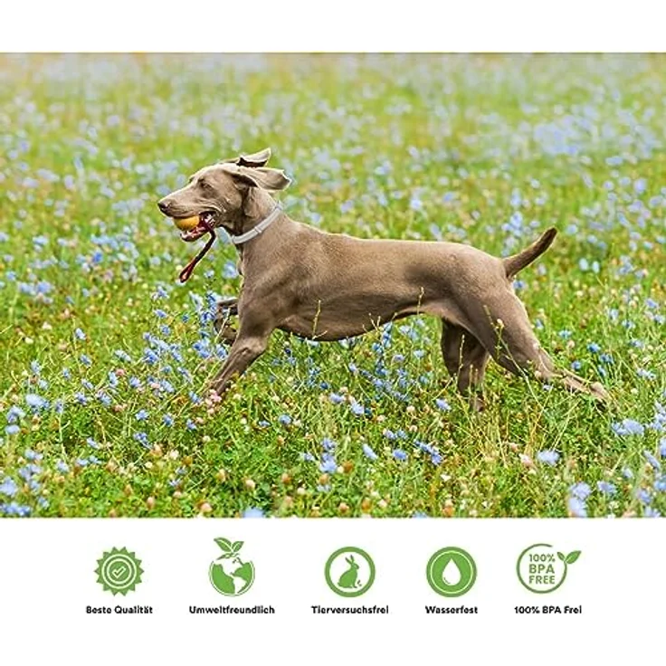 MC-Royal® Premium Zeckenhalsband für Hunde, wasserdicht und verstellbar, 70 cm, bis zu 8 Monate Zeckenschutz mit 100% natürlichen Inhaltsstoffen – Bild 5