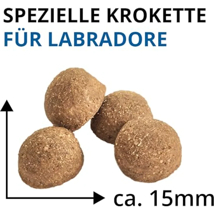 Wildsterne Breed Selection Labrador Retriever, 10 kg Trockenfutter, getreidefrei, Monoprotein, von Tierärzten entwickelt – Bild 4