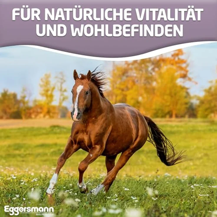 Eggersmann Mein Pferdefutter Sensitiv Müsli, getreidefrei und zuckerreduziert, 15 kg, ideal bei Cushing, EMS, PSSM & Hufrehe, ohne Luzernefasern, hoher Strukturanteil – Bild 4
