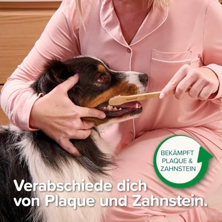 Beaphar Bambus-Zahnbürste, ergonomisches Design mit Bienenwachsgriff und zwei Bürstenkopfgrößen für optimale Zahnpflege bei Hunden – Bild 4