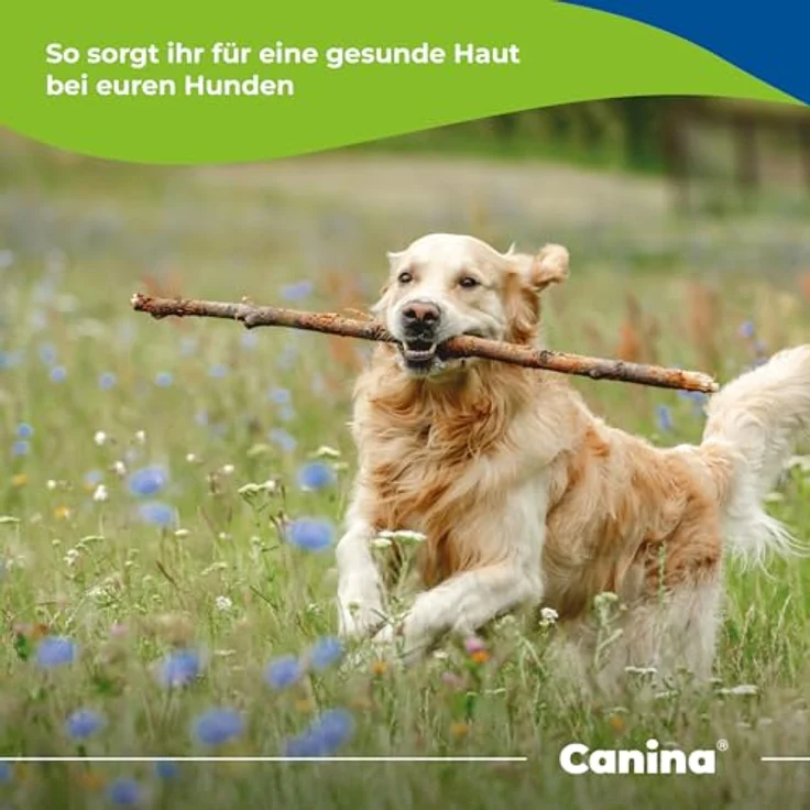 Canina Biotin Forte, Ergänzungsfuttermittel für Hunde, 500g Pulver für gesundes Fell und starke Krallen – Bild 5