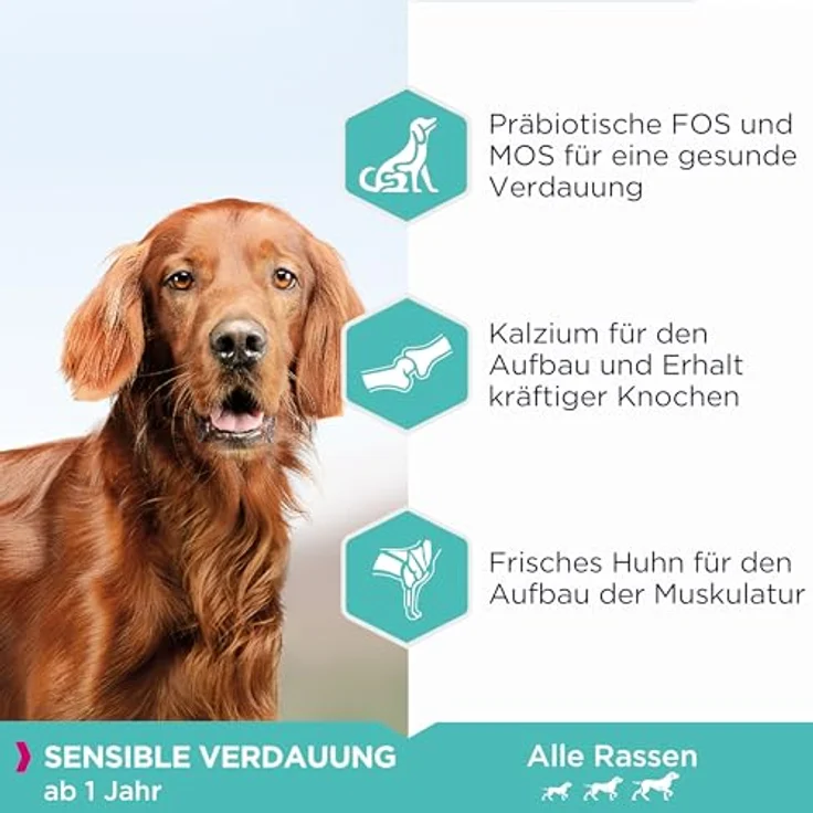 Eukanuba Daily Care Sensitive Digestion, Trockenfutter für Hunde mit sensibler Verdauung, Magenfreundlich mit leicht verdaulichem Reis, 12 kg – Bild 4