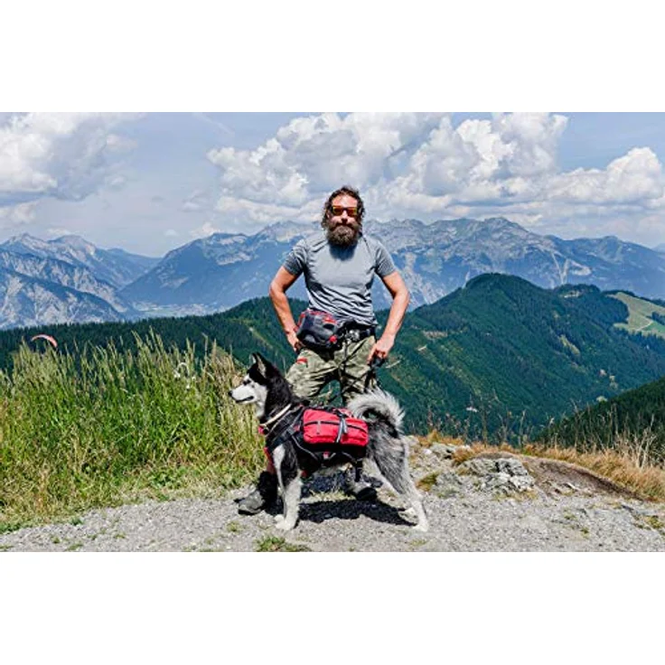iEnergy MAL Rucksack für Hunde L – Bild 6