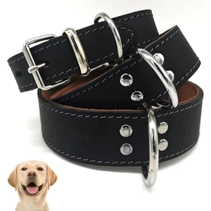 Stalco Hundehalsband aus Echtleder, extra breit, verstellbar mit Metallschnalle, schwarz, 4 x 75 cm, stabil und komfortabel für mittelgroße und große Hunde