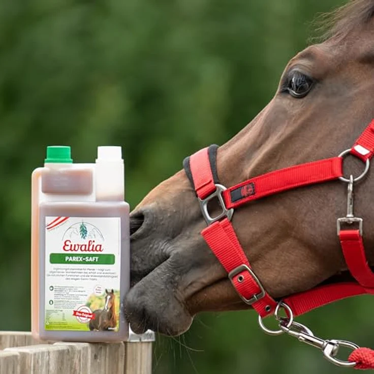 EWALIA Parex-Saft, Natürliche Magen-Darm-Unterstützung für Pferde, 100% naturbelassen, 6x1 Liter, mit Tierärzten entwickelt – Bild 4