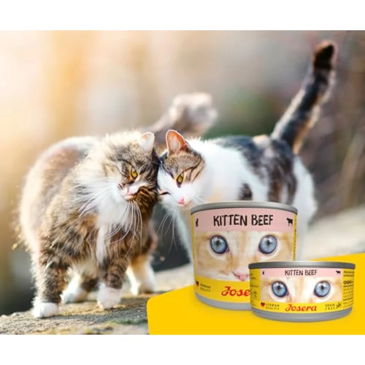Josera Kitten Beef, Nassfutter für heranwachsende Katzen bis 1 Jahr mit 70% Rind und Huhn, 12x100 g – Bild 6