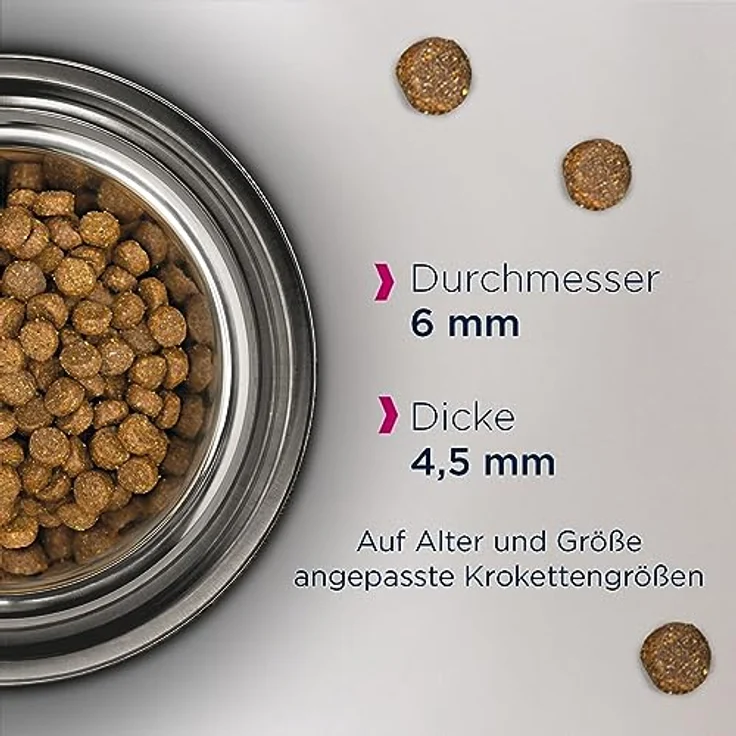 Eukanuba Junior Katzenfutter trocken getreidefrei, Premium Trockenfutter mit viel Lachs und DHA für Kitten, 10 kg – Bild 2