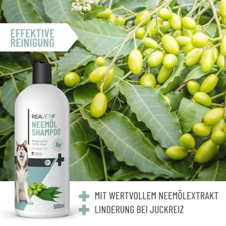 ReaVET Neemöl Shampoo für Hunde 500ml - Beruhigend gegen Juckreiz, Flöhe & Zecken, Hautfreundlich, Pflegend, Leicht kämmbar, Für alle Rassen geeignet – Bild 5