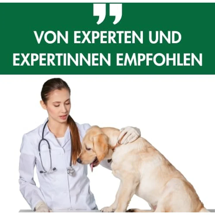 Biokanal Pharma Formel-Z, Ergänzungsfuttermittel für Hunde, 125 g Tabletten für gezielte Versorgung – Bild 5