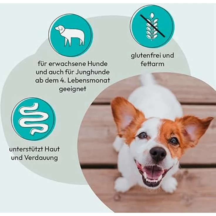 Grau Lamm 12kg, Hunde-Trockenfutter für erwachsene Hunde mit leckerem Lamm – Bild 6