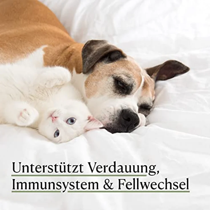 CBDVITAL Premium Heilmoor für Hunde, tierärztlich geprüft, 500 g, auch für Katzen geeignet, zur Unterstützung von Verdauung, Immunsystem & Fellwechsel, 100% natürliche Inhaltsstoffe – Bild 2
