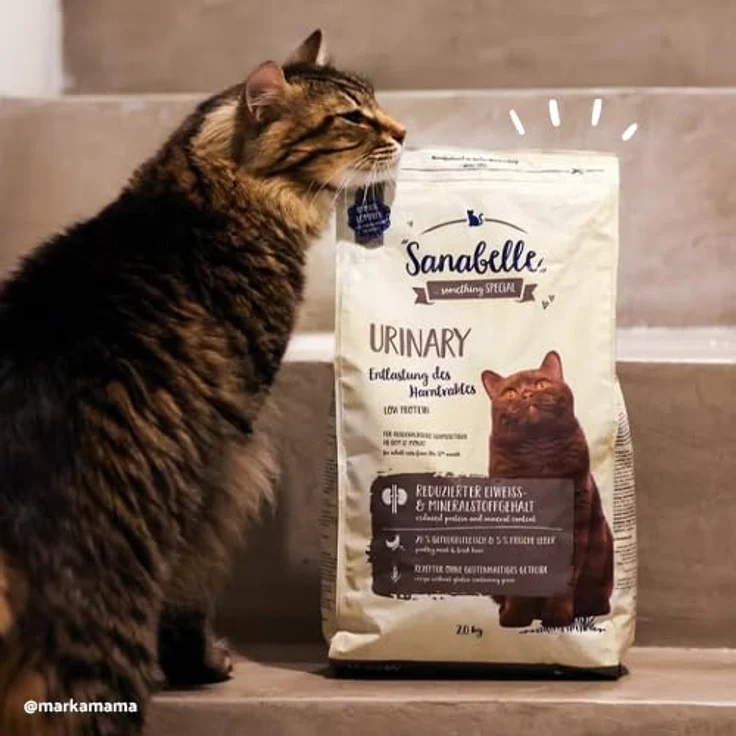 SanaBelle Urinary, Katzentrockenfutter für ausgewachsene Katzen mit empfindlichem Harnsystem, 4 x 2 kg, mit frischem Geflügelfleisch und immunstärkenden Komponenten – Bild 3
