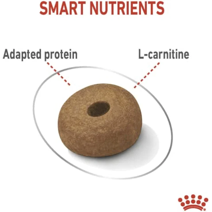 Royal Canin Light Weight Care Maxi, Trockenfutter für große Hunde mit reduziertem Fettgehalt und Gelenkunterstützung, 12 kg – Bild 3