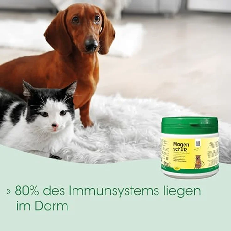 cdVet Magenschutz 200 g, Fütterungsbedingte Unterstützung zur Regeneration des Magen-Darm-Traktes – Bild 8