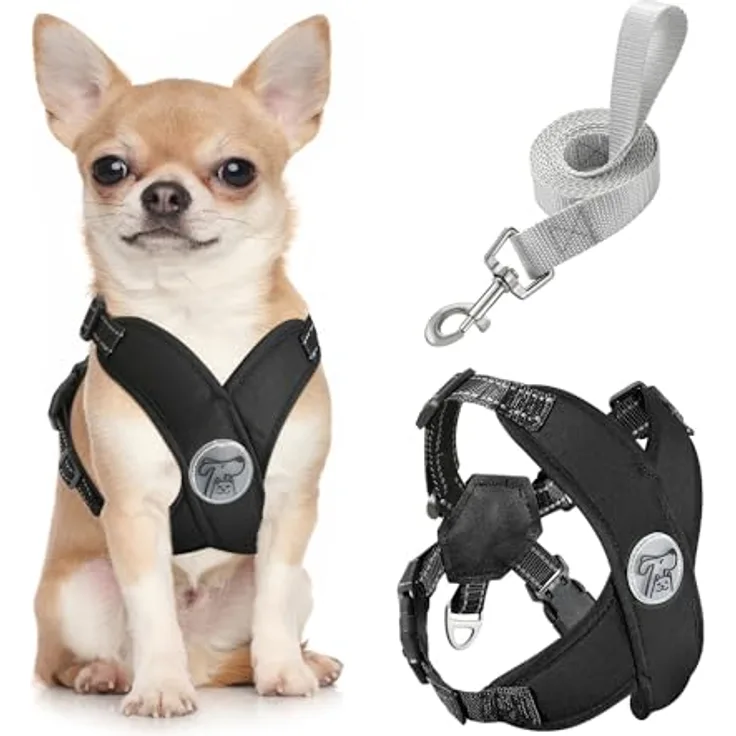 Pawaboo Hundegeschirr mit Hundeleine Set, X-Rahmen, verstellbares Anti-Zug Brustgeschirr für kleine und mittelgroße Hunde & Welpen, atmungsaktive Weste, Größe S, Schwarz