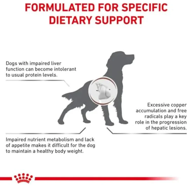 Royal Canin Veterinary Hepatic, Hundefutter für unterstützende Leberfunktion, 7 kg – Bild 2