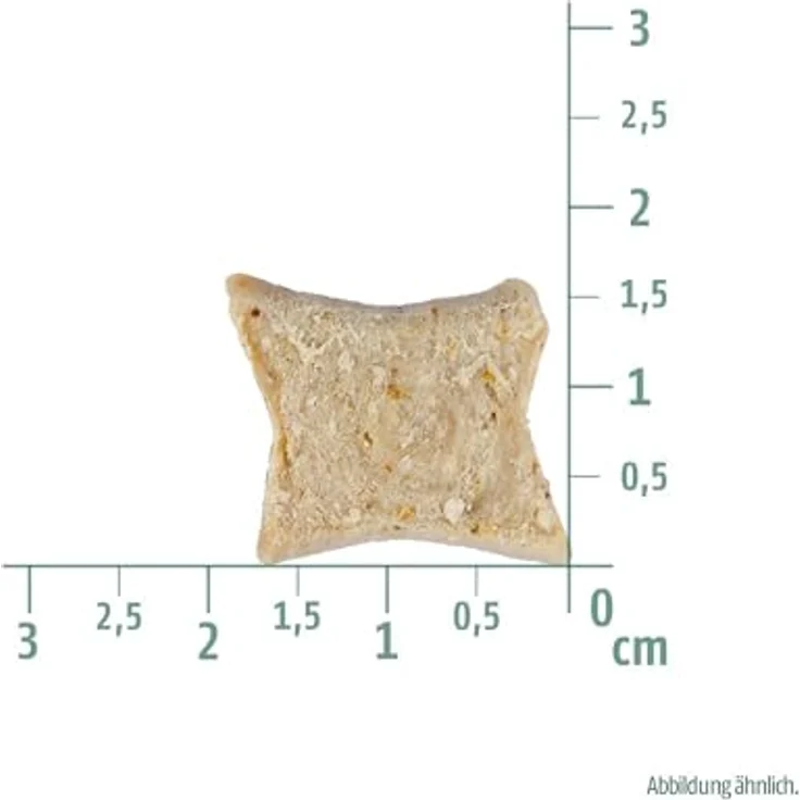 Christopherus Vegetarian - Soft Snack - Tapioka mit Kürbis, Ergänzungsfuttermittel für Hunde, 125g – Bild 3