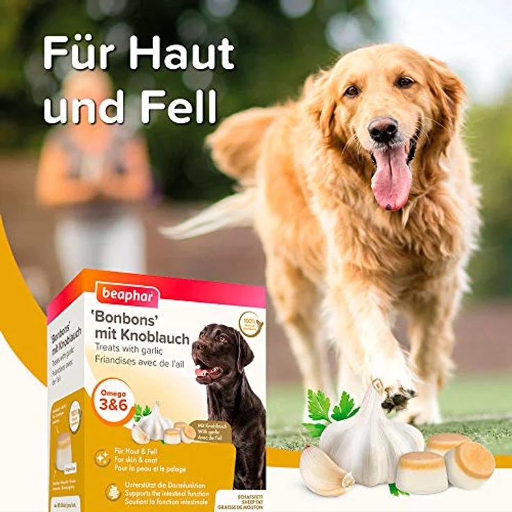 Beaphar Bonbons mit Knoblauch für Hunde, mit Schafsfett - Unterstützt gesundes Fell und Verdauung - 40 Stück, 245 g – Bild 4