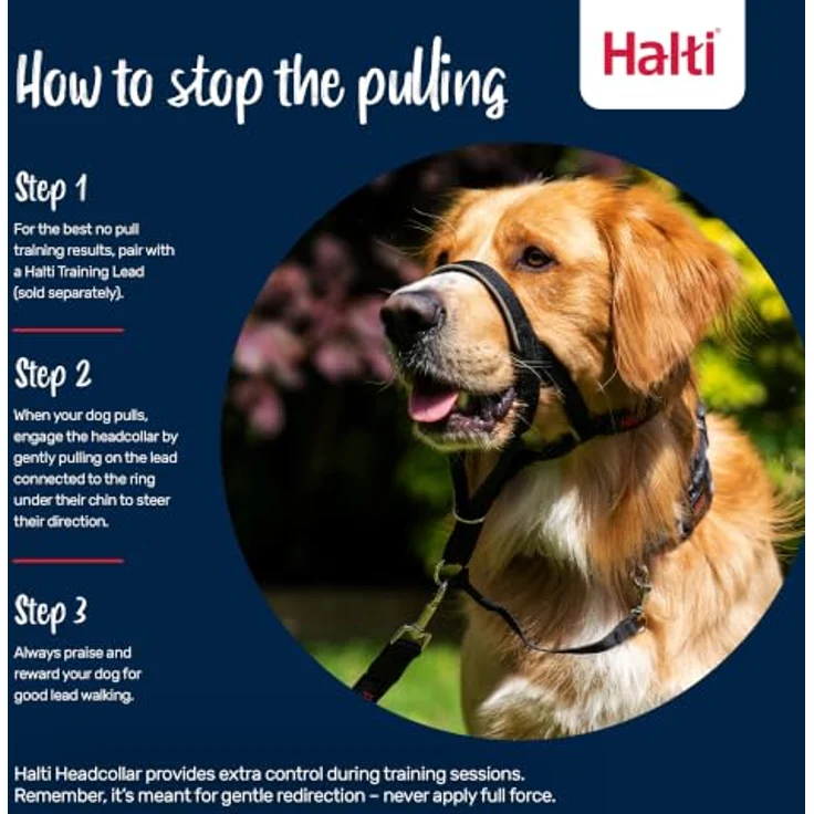 Halti Kopfgeschirr für Hunde, Größe 3, Lila, mit reflektierenden Elementen und gepolstertem Nasenriemen – Bild 4