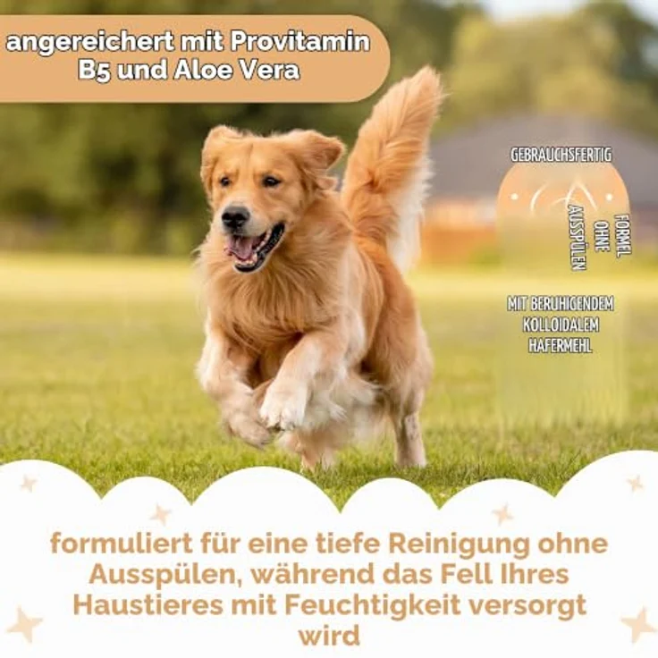 Buddycare Wasserloses Trockenshampoo für Hunde, 200 ml, Haferflocken, sanfte Formel ohne Ausspülen, für empfindliche Haut, geeignet für alle Rassen & Größen – Bild 3