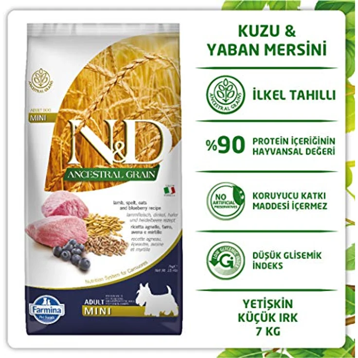 Farmina N&D ANCESTRAL Grain Pellets Hundefutter, Trockenfutter mit Lamm, Dinkel, Hafer und Blaubeere, 7 kg, reich an Vitaminen und Antioxidantien, ohne Mais – Bild 4