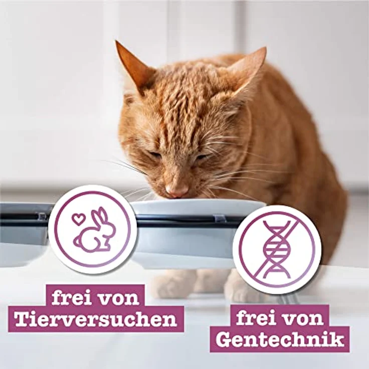catz finefood Feinkost Katzenfutter nass Multipack 2, 6 x 400g Dosen mit Huhn, Thunfisch, Rind, Rotbarsch, Lamm, Garnelen und Wild, hoher Fleischanteil, artgerecht, hergestellt in Deutschland – Bild 5