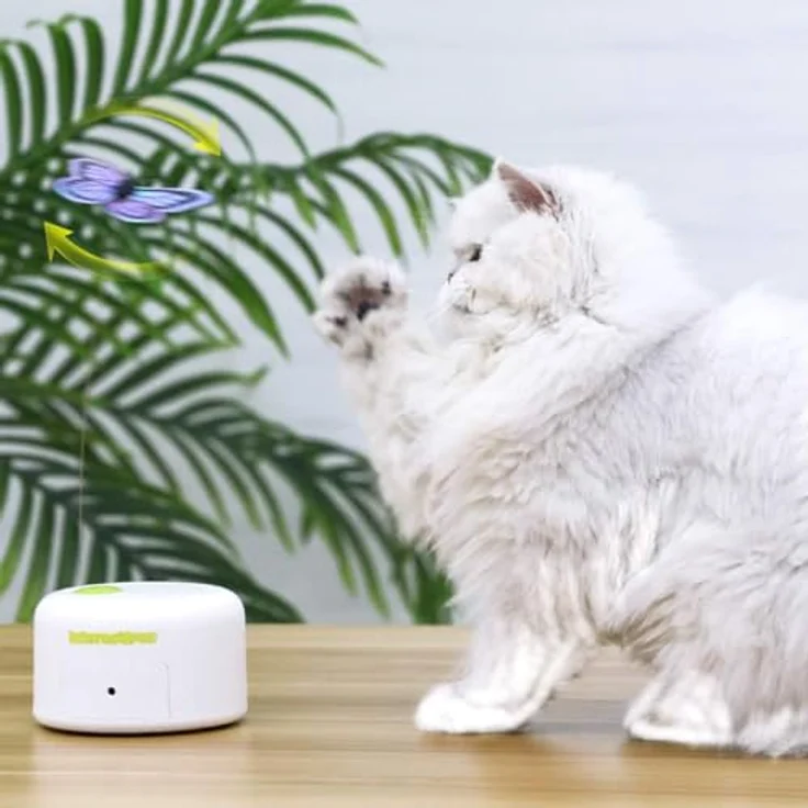 ALL FOR PAWS Interaktives Katzen-Schmetterlingsspielzeug, bewegungsaktiviert mit 6 Nachfüll-Kits – Bild 4