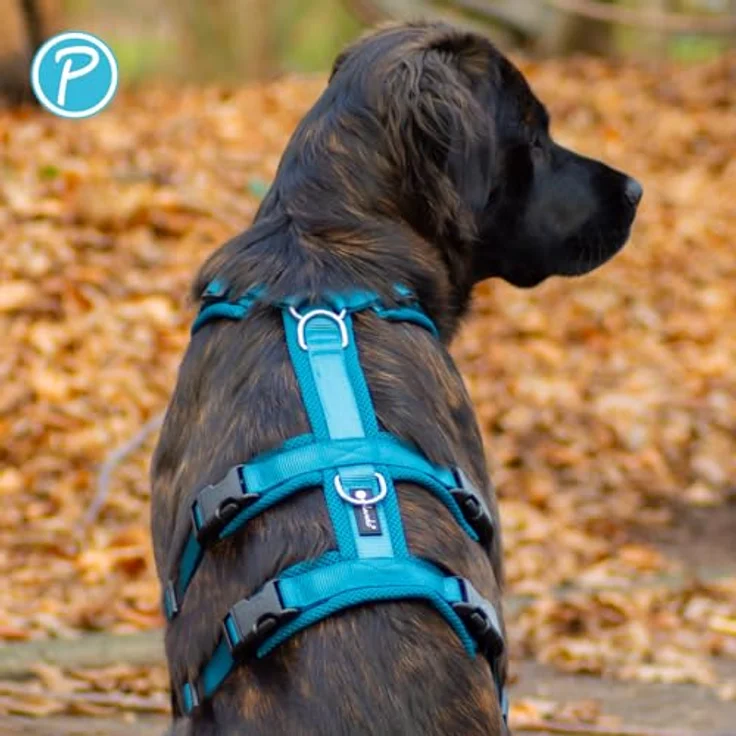 Petlando Sicherheitsgeschirr Mesh, ausbruchsicher mit extra Bauchgurt, weich gepolstert, atmungsaktiv, stufenlos verstellbar, für kleine Hunde, Petrol, Größe S – Bild 3