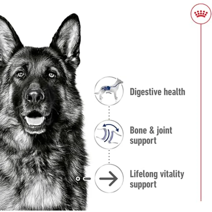Royal Canin MAXI Ageing 8+, Trockenfutter für große Senior Hunde (26-44 kg), 2x15kg – Bild 3