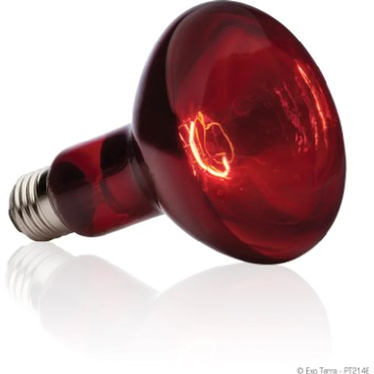 Exo Terra Infrared Basking Spot, Wärmespotlampe R30, 150W, E27, für nächtliche Beobachtungen und optimale Wärmeemission – Bild 3