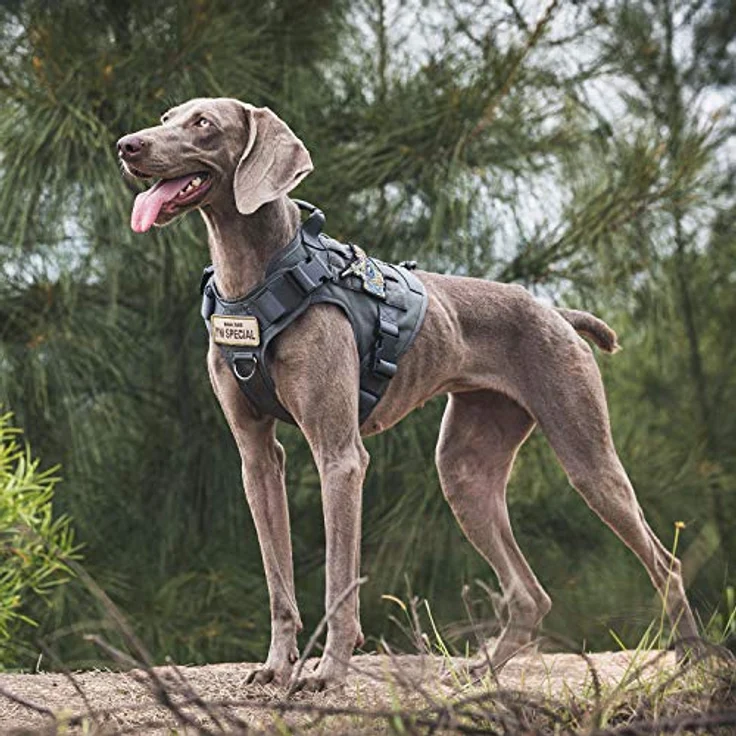 OneTigris FIRE WATCHER Hundegeschirr, Taktische Hundeweste aus 1000D Nylon mit 1 Griff, 2 D-Ringen, verstellbar, Grau (L) – Bild 5