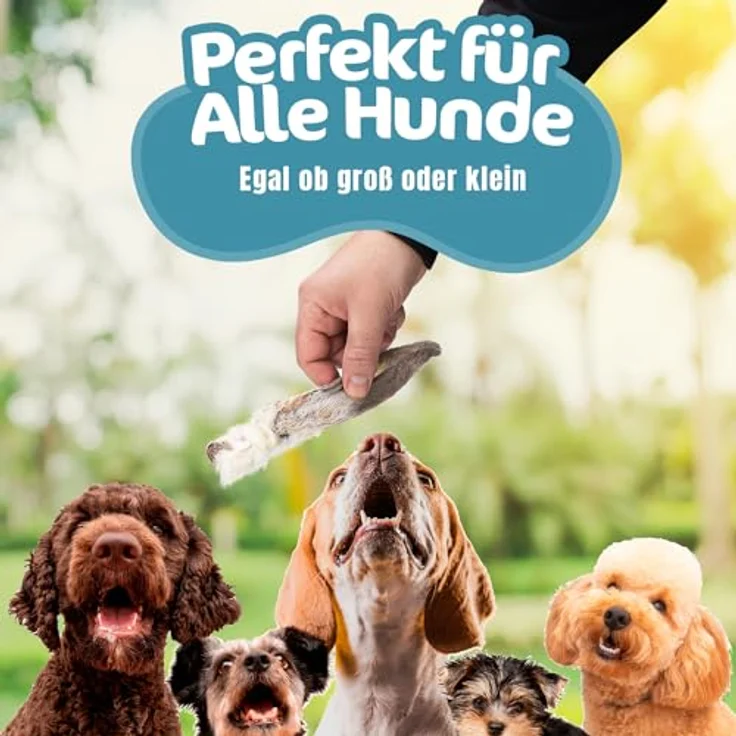 Riverside Hasenohren für Hunde mit Fell, 1 kg natürliche Kaninchenohren, luftgetrocknet, getreide- und glutenfrei, hypoallergen, hergestellt in der EU – Bild 4