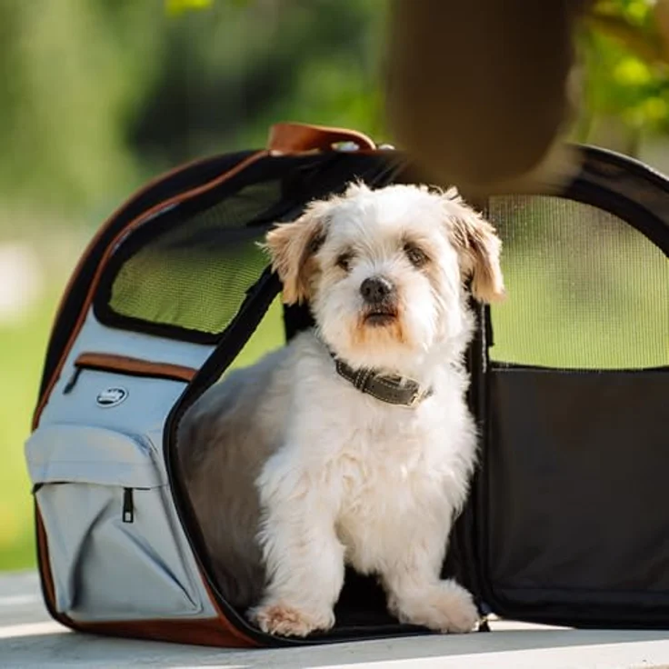 Nobby Tiertransporttasche Rucksack Tomek hellgrau für Katzen mit 6 Utensilienfächern – Bild 7