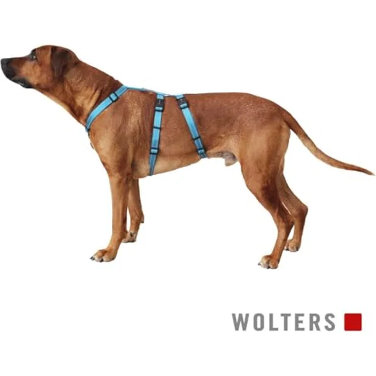 Wolters Soft & Safe Halsband + Leine, strapazierfähiges Nylon mit reflektierenden Nähten, verstellbar, Sicherheit für ängstliche Hunde – Bild 2