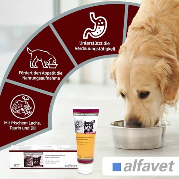 Alfavet ReConvales Päppelpaste Ergänzungsfuttermittel für kleine Hunde und Katzen, hohe Energie für Untergewicht, Tube 75g – Bild 2