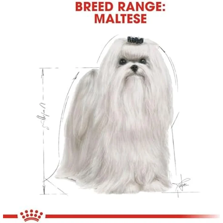 Royal Canin Maltese Adult, Trockenfutter für Malteser ab 10 Monaten, Unterstützung von Fell und Verdauung, 500 g – Bild 5
