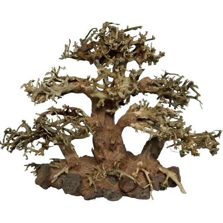 4fish Traerødder, Tree Island, Aquarien-Dekoration, 40x15x30 cm